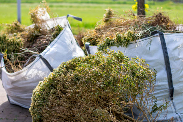 Best Dumpster Rental Services  in Melbourne, FL